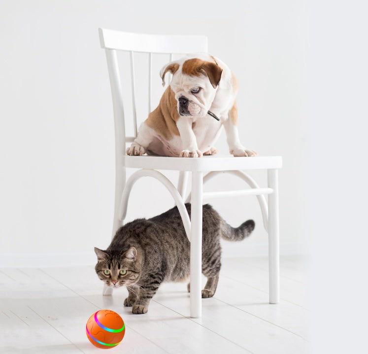 Self Rotating Intelligent Ball Toy for Cats