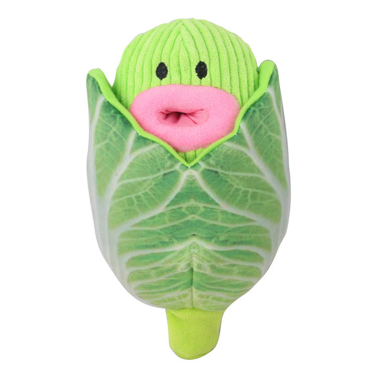 Creative Leaky Pet Toys With Cabbage