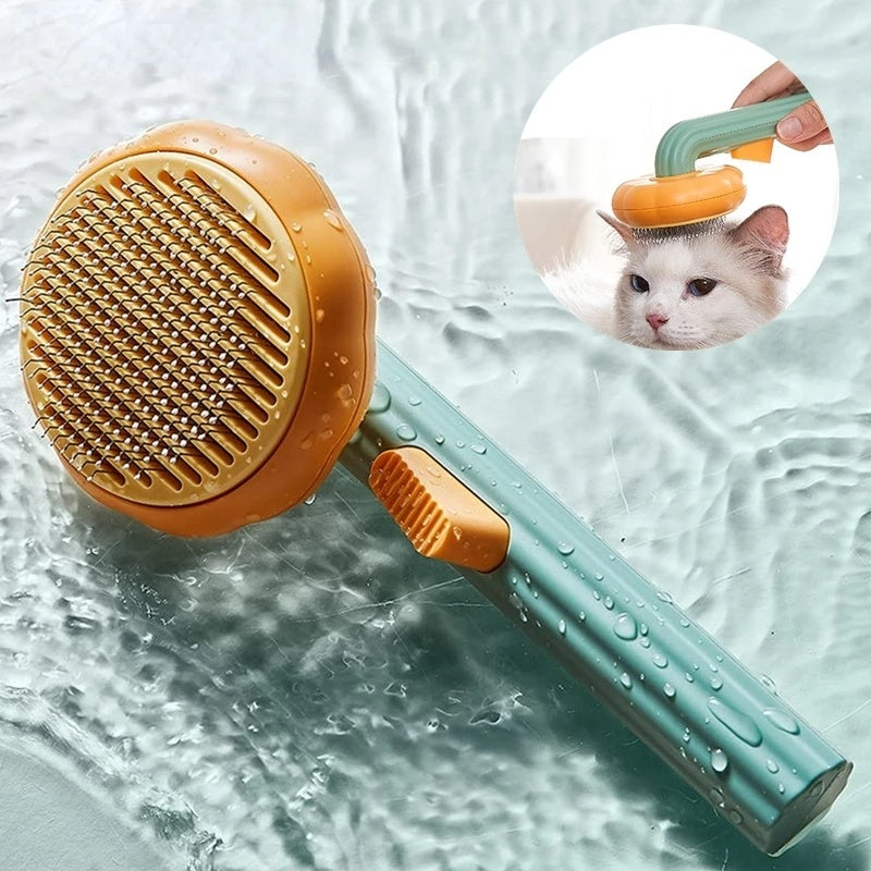 Pumpkin Self Cleaning Brush for Dog or Cat